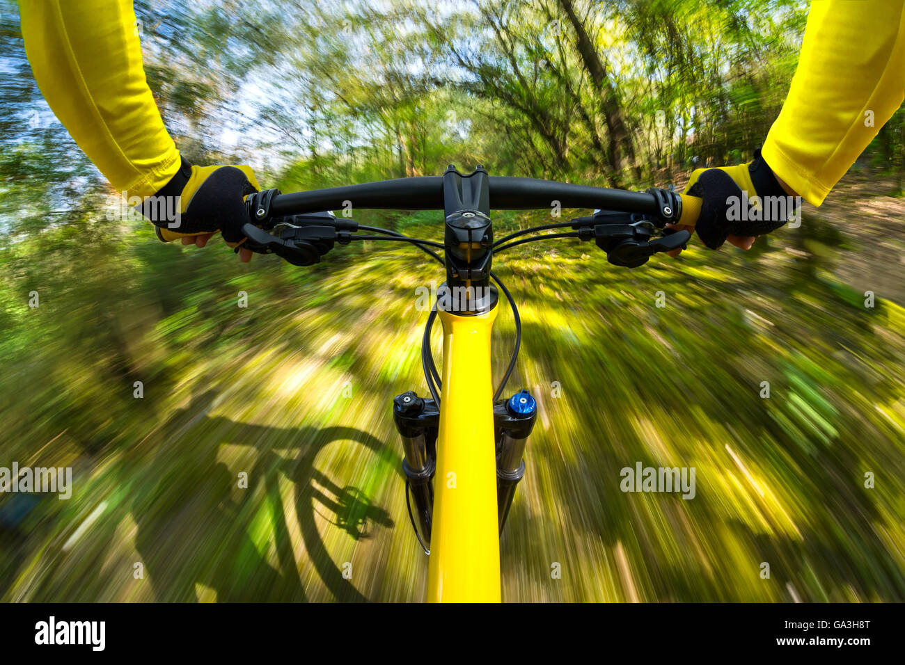 Dinamica veloce in bicicletta nei boschi Foto Stock
