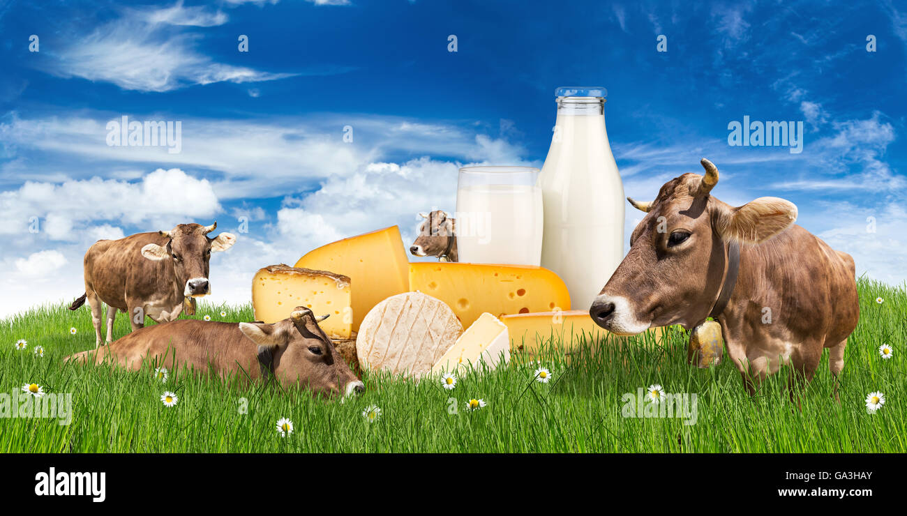 Gruppo di mucche sul prato verde con bottiglia di latte in vetro e formaggio in parte anteriore del cielo blu Foto Stock