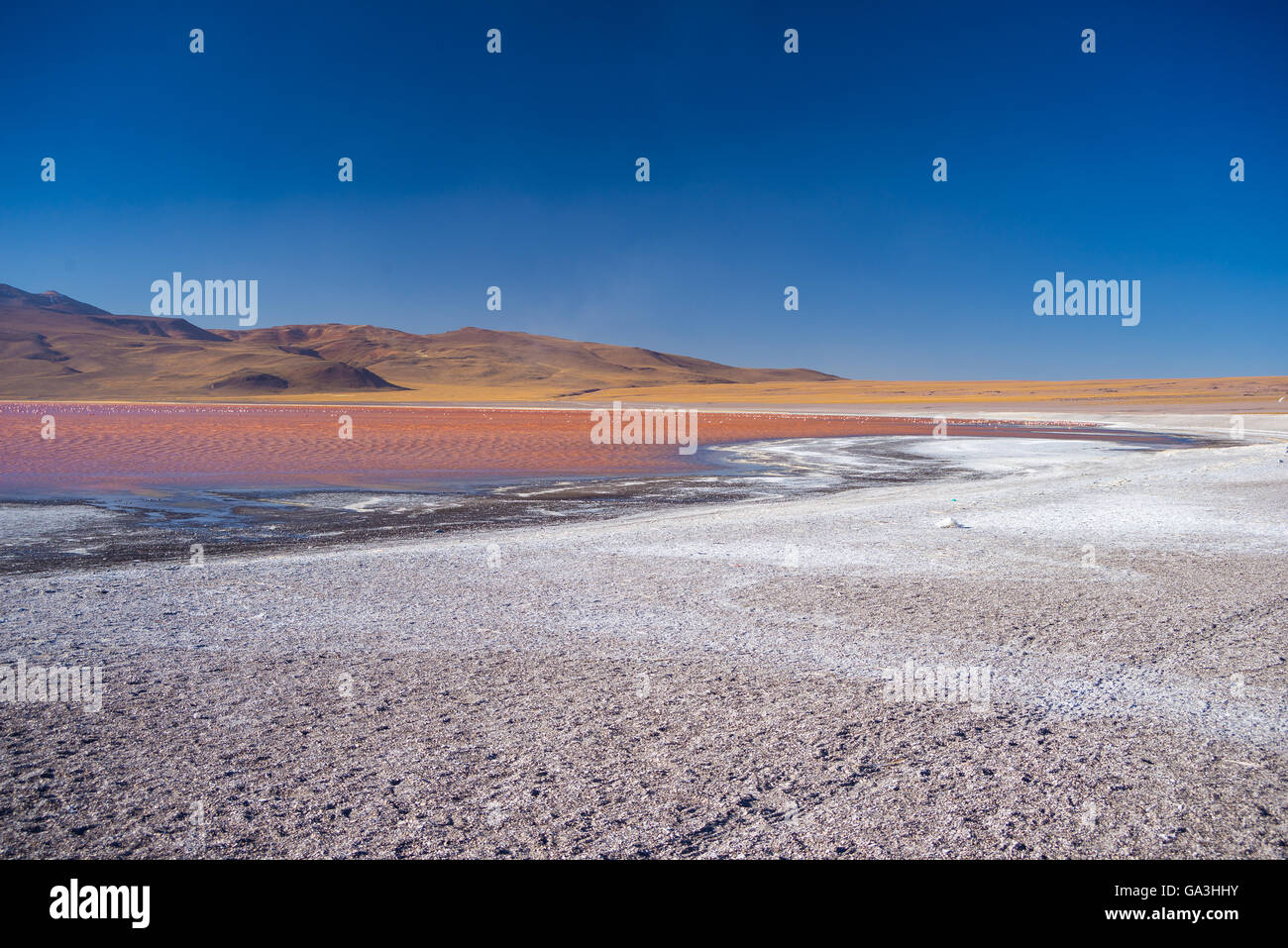 Ampio angolo di visione di "Laguna Colorada', multicolore di Salt Lake con fenicotteri, sulla strada per il famoso sale di Uyuni piatto, tra i Foto Stock