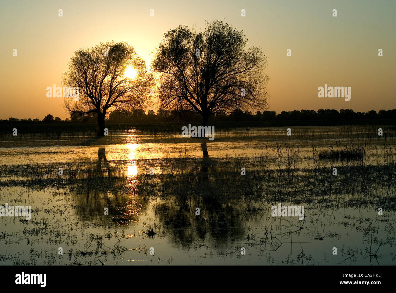 La riflessione di alberi sul lago Ulubat, Bursa, Turchia Foto Stock