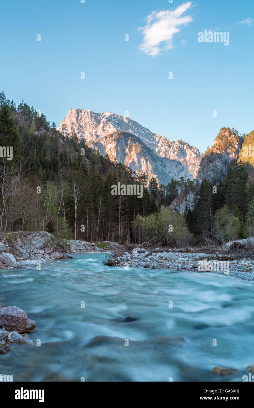 Buchstein Goßer, montagna, Johnsbach Creek, Foresta, alberi, Nationalpark Gesäuse, Stiria, Austria Foto Stock