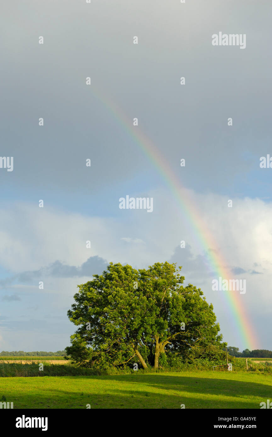 Rainbow, Otterndorf, Germania Foto Stock