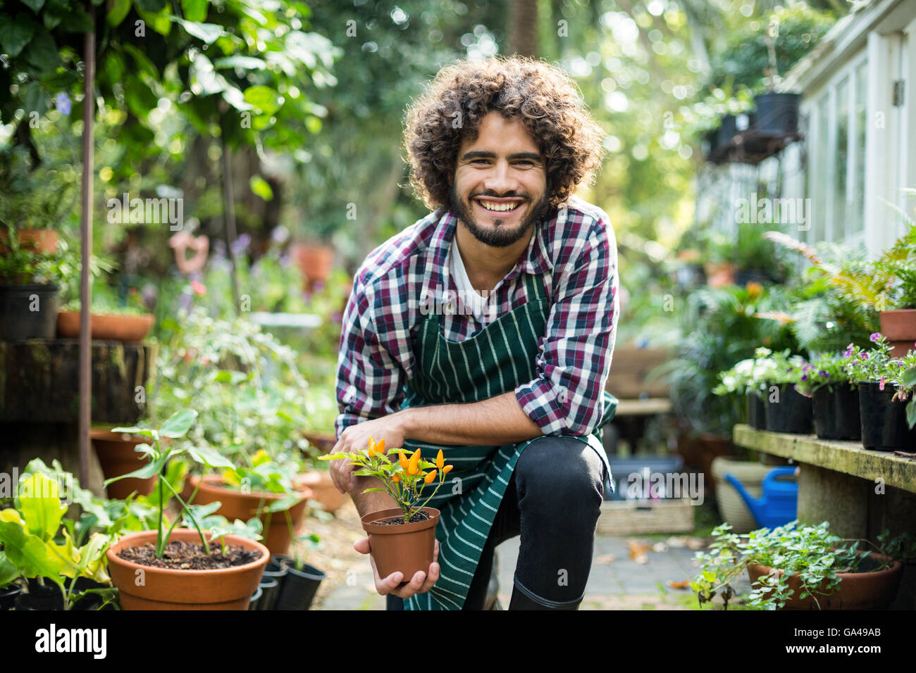 Sorridente giardiniere maschio azienda pianta in vaso Foto Stock