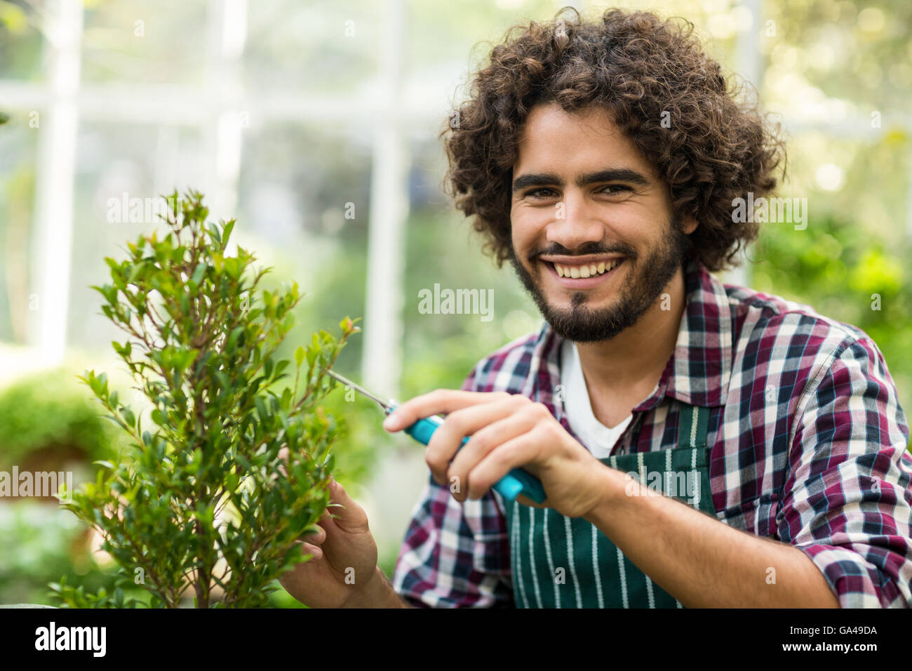 Felice giardiniere maschio la potatura delle piante in serra Foto Stock