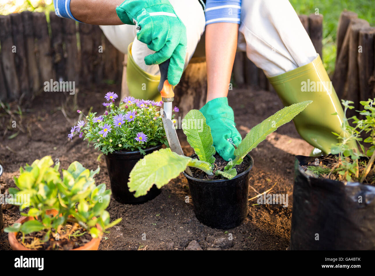 Giardiniere semina di piante in vaso in giardino Foto Stock