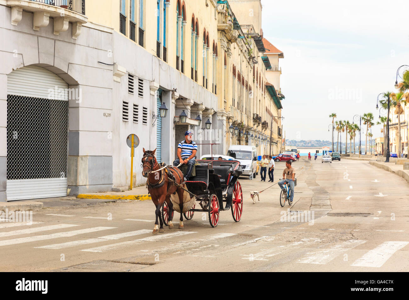 La mattina presto street scene con cavallo e carrello a l'Avana, Cuba Foto Stock