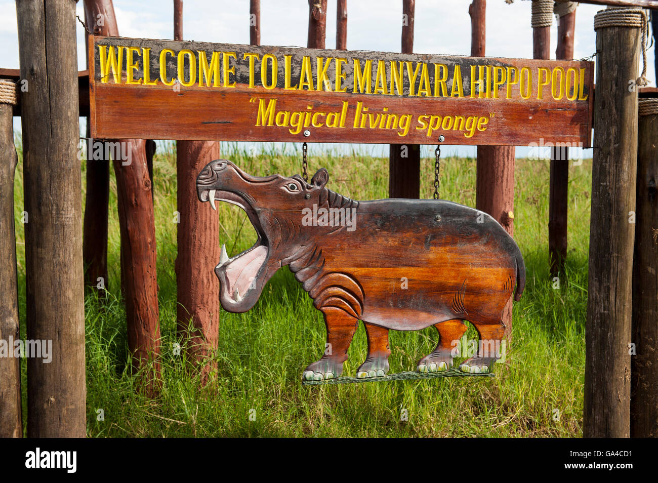 Hippo pool piattaforma, Lake Manyara National Park, Tanzania Foto Stock