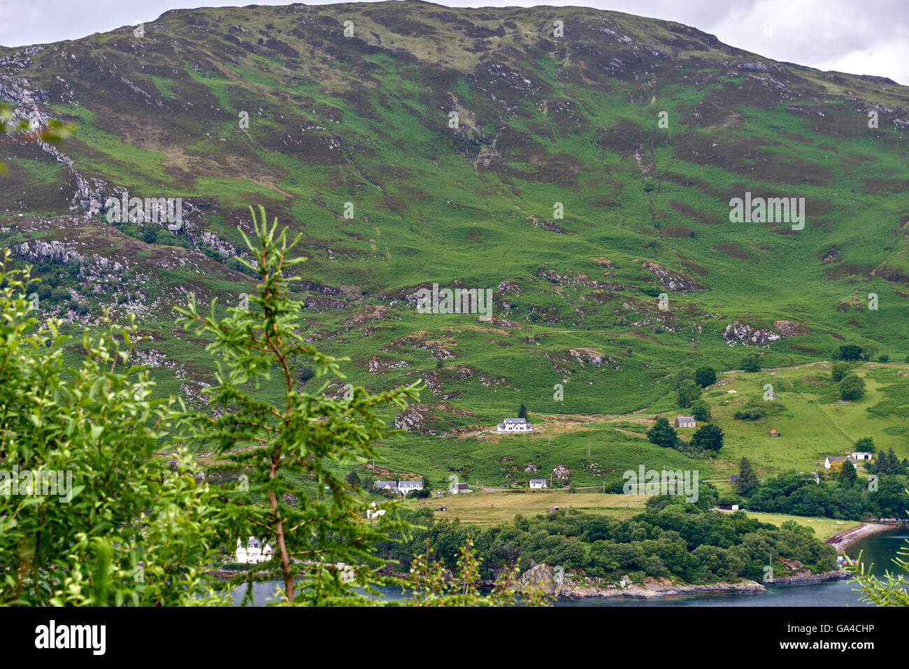 Loch Carron è un mare loch sulla costa occidentale di Ross and Cromarty nelle Highlands scozzesi Foto Stock