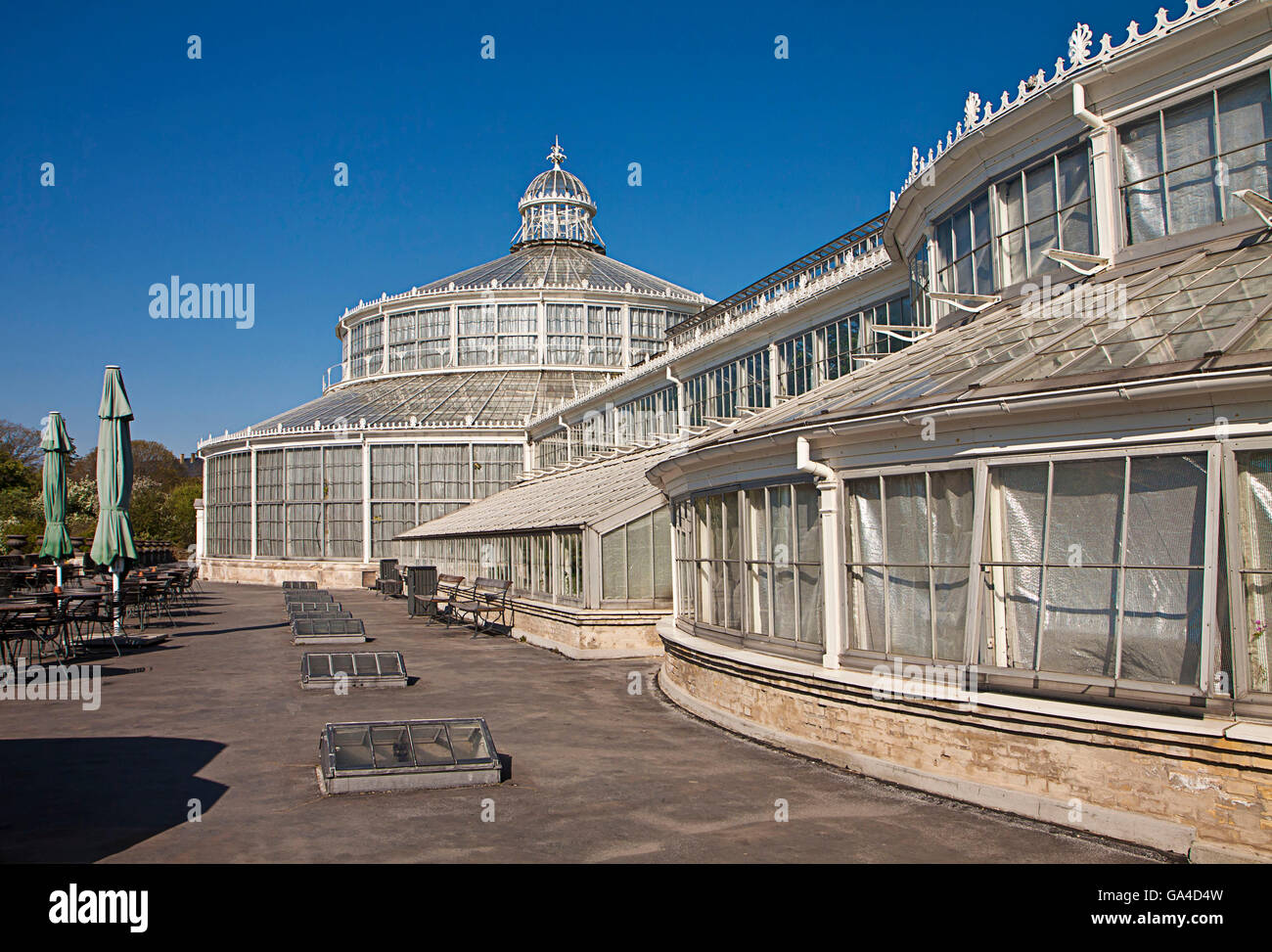 Copenaghen, Danimarca - Vista delle serre storico risalente al 1874 al Giardino Botanico Foto Stock