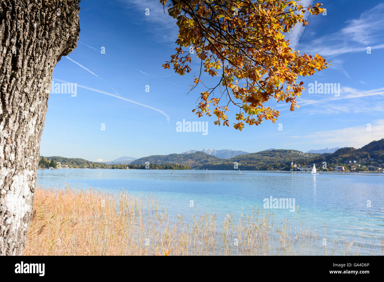 Vista sul lago di Wörthersee a Maria Wörth , sullo sfondo sono le Caravanche, Pörtschach am Wörther See, Austria Kärnten, auto Foto Stock