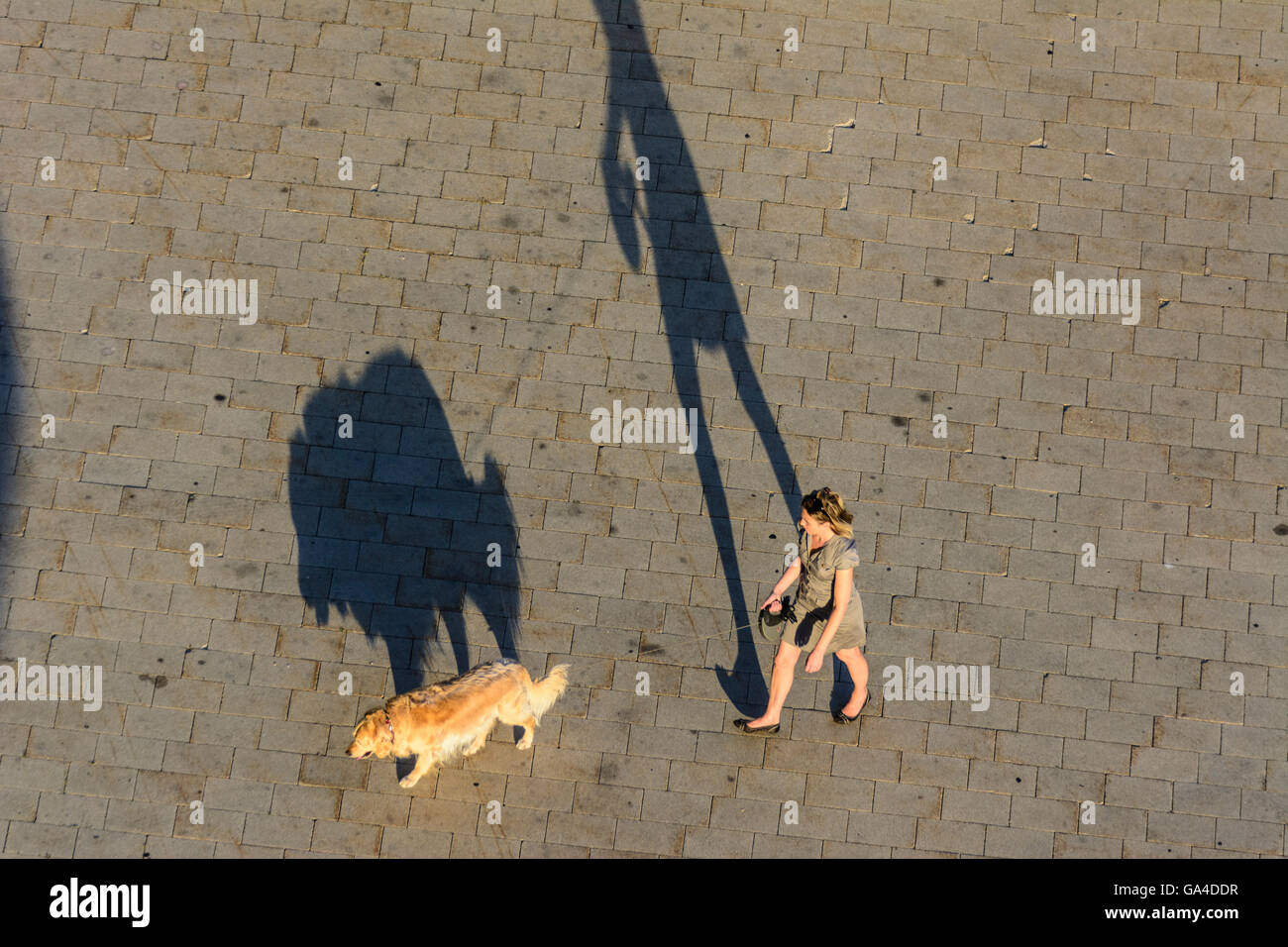 Wien, Vienna donna e cane passeggiate, lunghe ombre Austria Wien Foto Stock