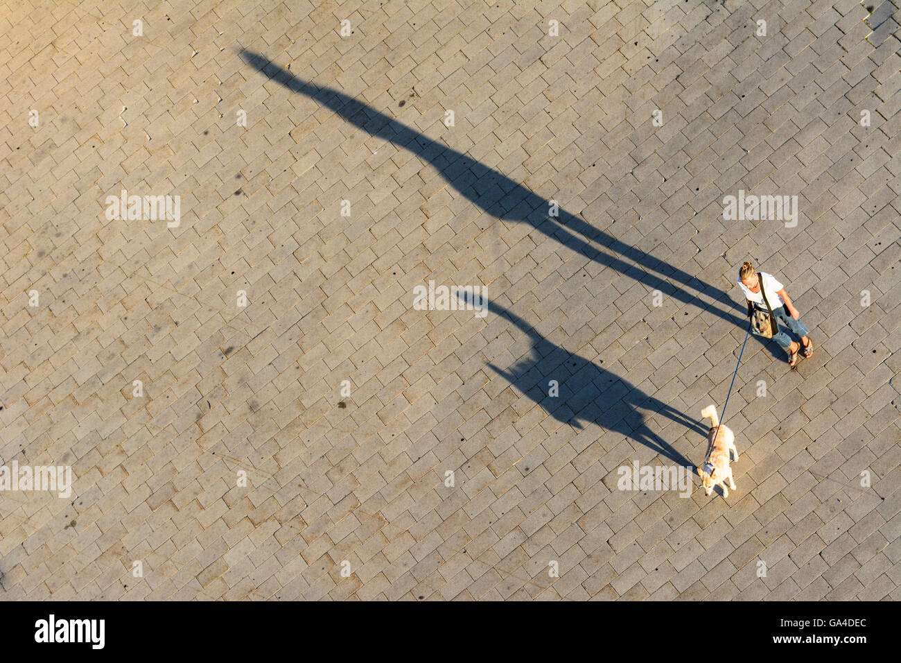 Wien, Vienna donna e cane passeggiate, lunghe ombre Austria Wien Foto Stock