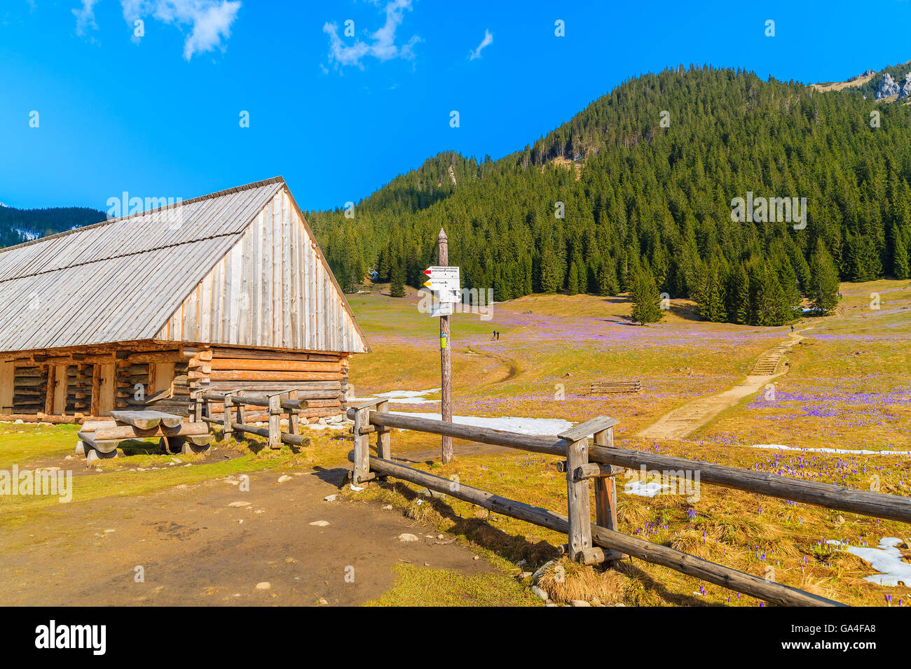 Capanna in legno e il sentiero di montagna accedi Chocholowska valle nella stagione primaverile, Monti Tatra, Polonia Foto Stock