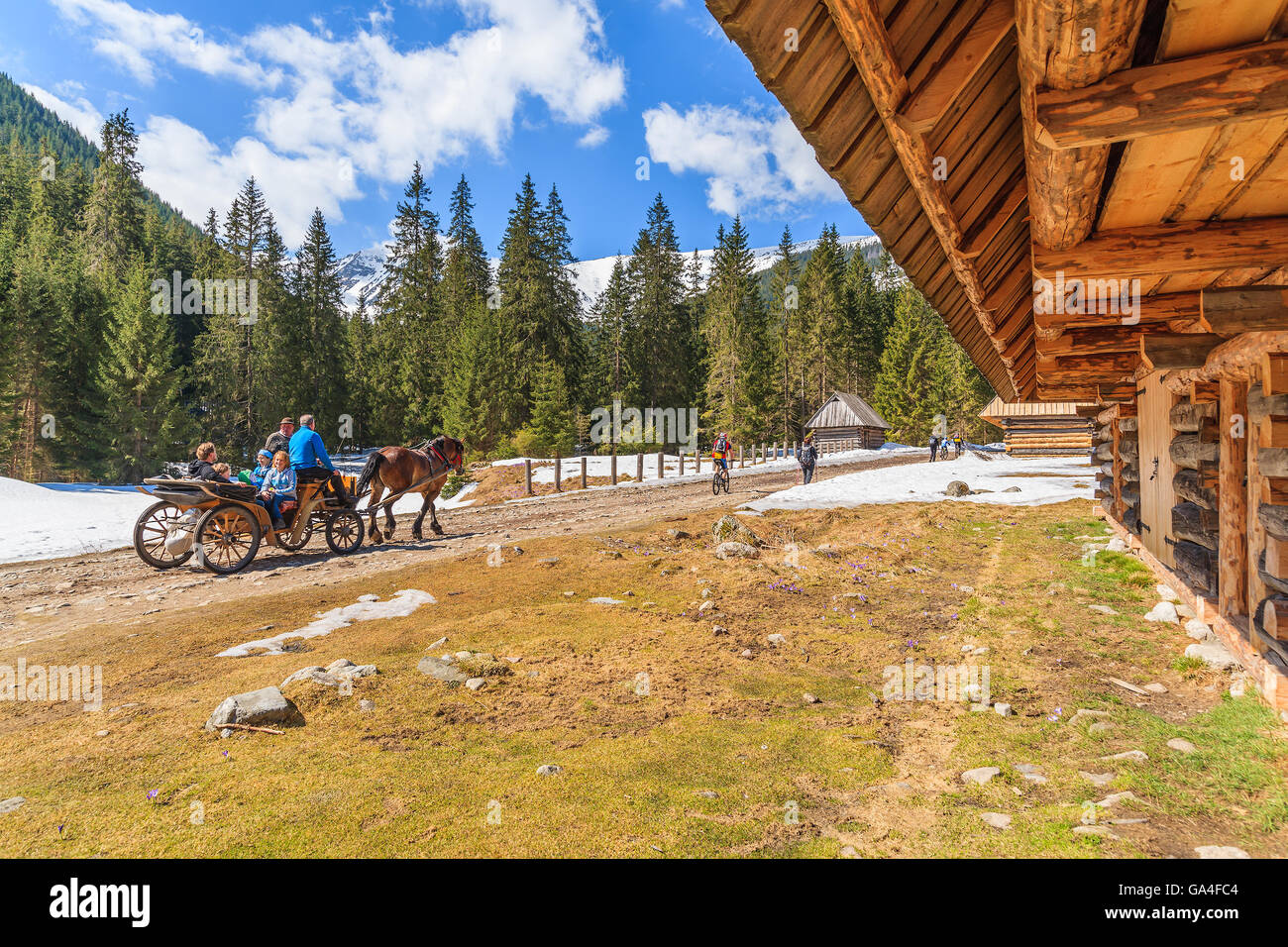 Valle CHOCHOLOWSKA, monti Tatra, Polonia - Apr 25, 2015: carrozza con i turisti in valle Chocholowska. Crocus fiori che fioriscono in primavera sono di grande attrazione per molti turisti. Foto Stock