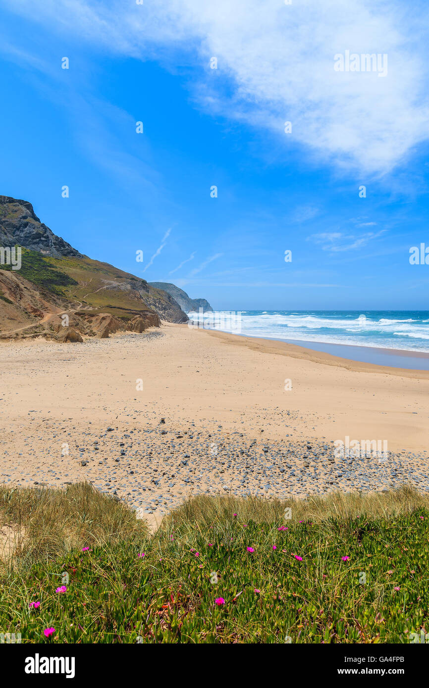 Una vista di sabbia spiaggia Castelejo, luogo famoso per il surf, la regione di Algarve, PORTOGALLO Foto Stock