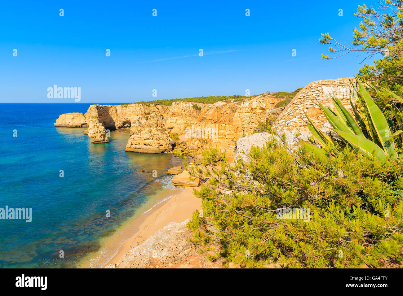 Vista della famosa spiaggia di Marinha e rocce che scendono dalla parte superiore, Algarve, PORTOGALLO Foto Stock