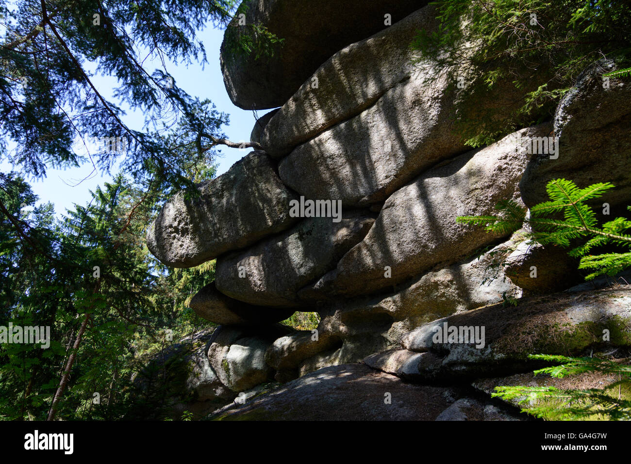 Rappottenstein roccia granitica formazione ' mulino glaciale ' e abete Austria Niederösterreich, Bassa Austria Waldviertel Foto Stock