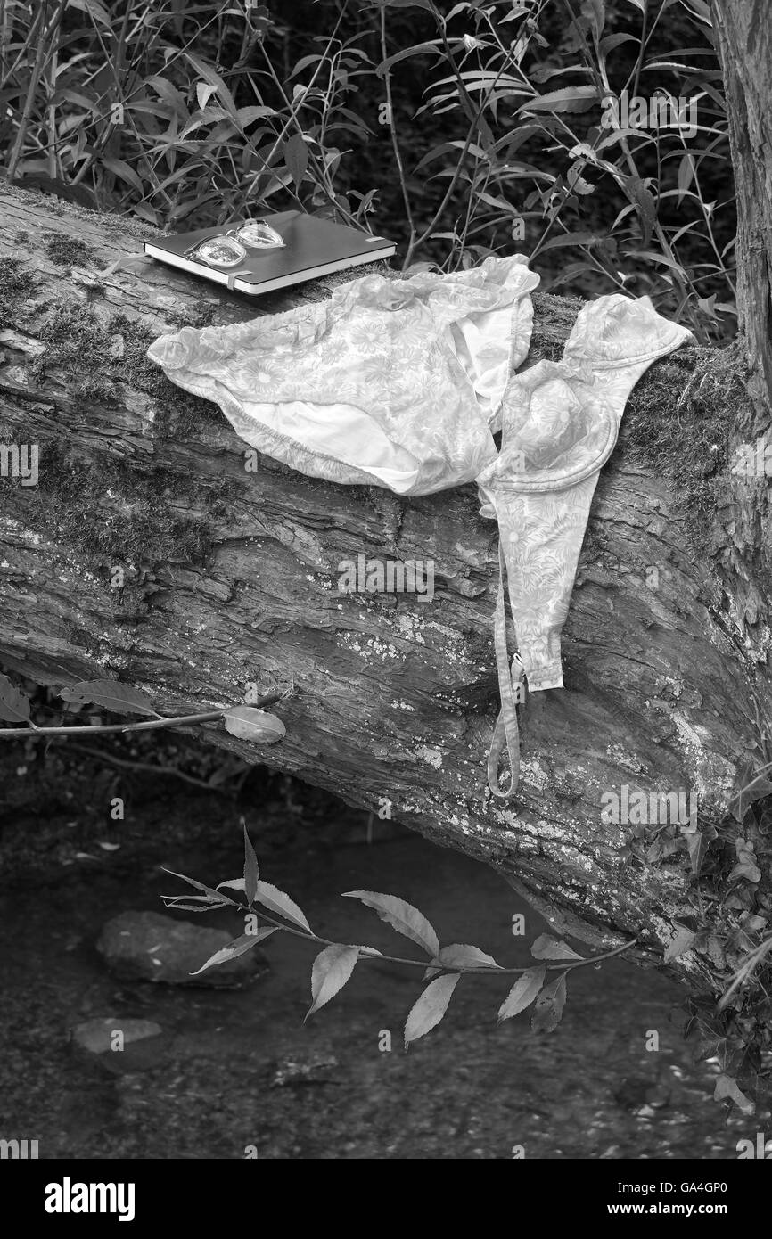 Una rosa bagnata e bikini arancione dagli anni sessanta lasciato ad asciugare su un albero dopo una nuotata in un fiume. Foto Stock