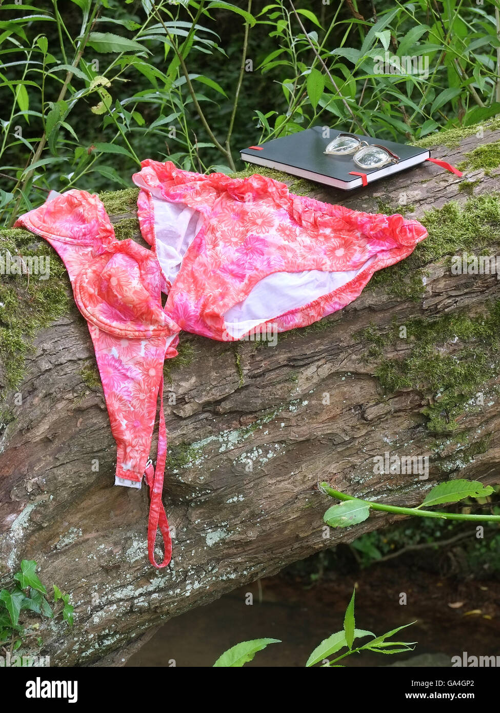 Una rosa bagnata e bikini arancione dagli anni sessanta lasciato ad asciugare su un albero dopo una nuotata in un fiume. Foto Stock