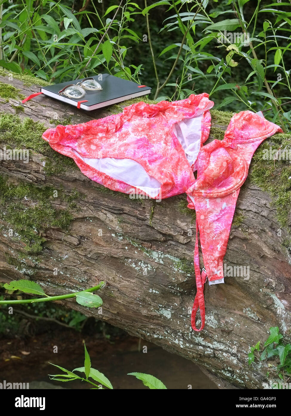 Una rosa bagnata e bikini arancione dagli anni sessanta lasciato ad asciugare su un albero dopo una nuotata in un fiume. Foto Stock