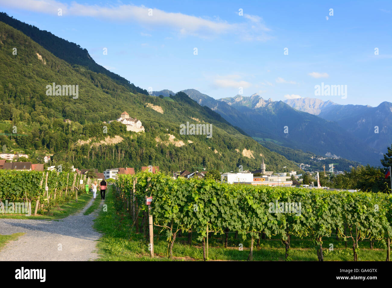 Vaduz vigna del dominio reale, il castello di Vaduz Liechtenstein Foto Stock