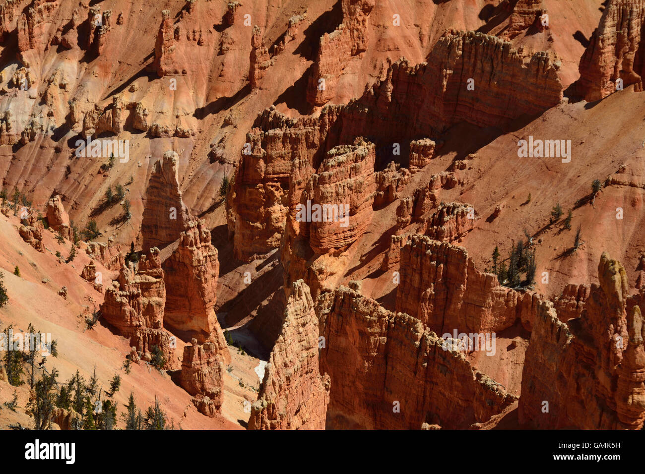 La bella ma spesso ignorato il paesaggio di Cedar Breaks National Monument in Utah. Foto Stock