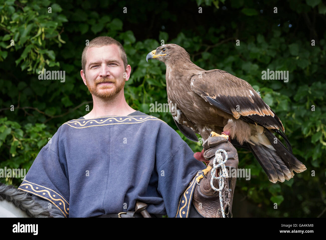 falconiere medievale con uccello preda sul braccio, Esrum, Danimarca - rievocazione storica e falconeria Foto Stock
