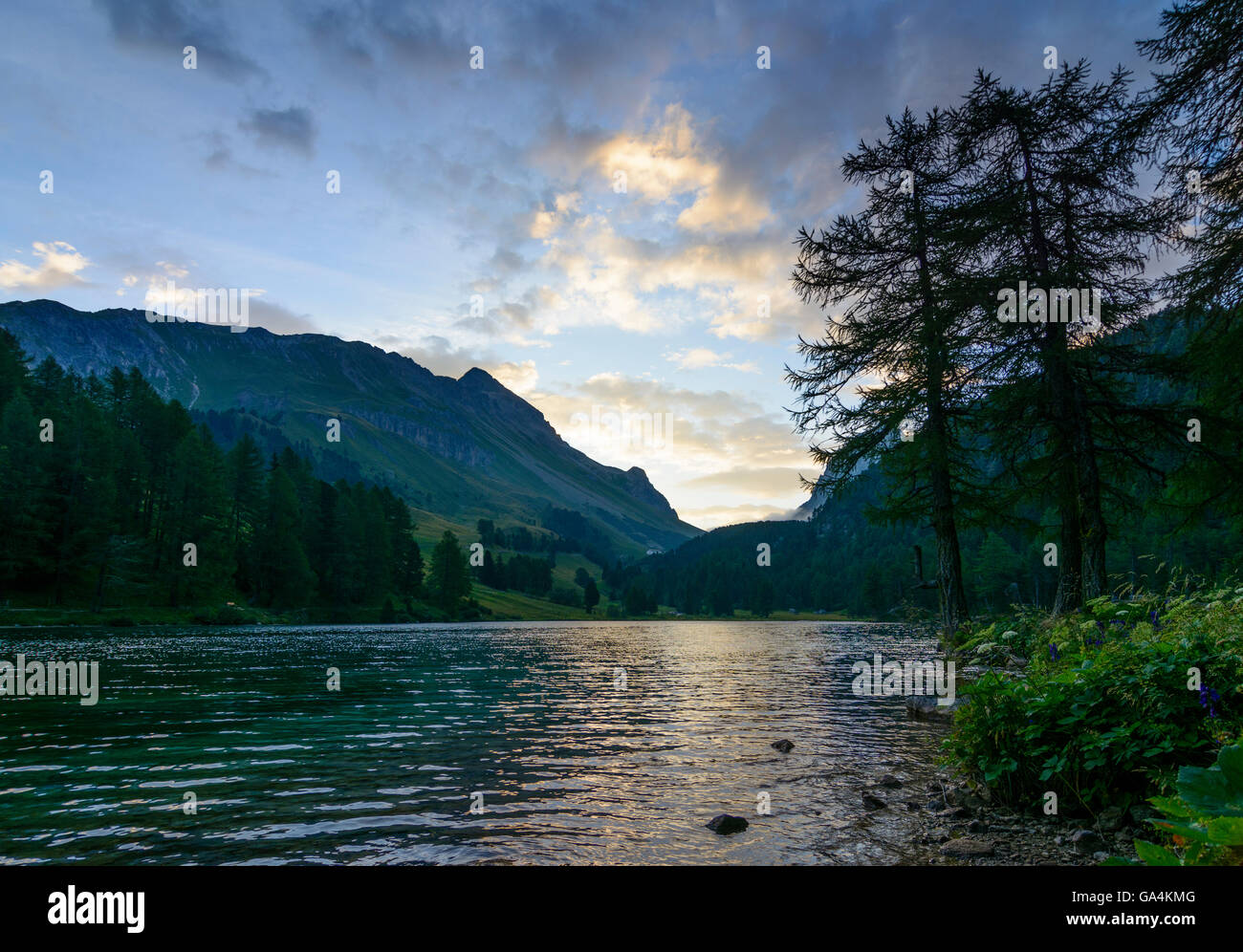 Preda Palpuognasee lago ( Lai da Palpuogna ) presso sunrise Svizzera Grigioni Grigioni Albula Foto Stock