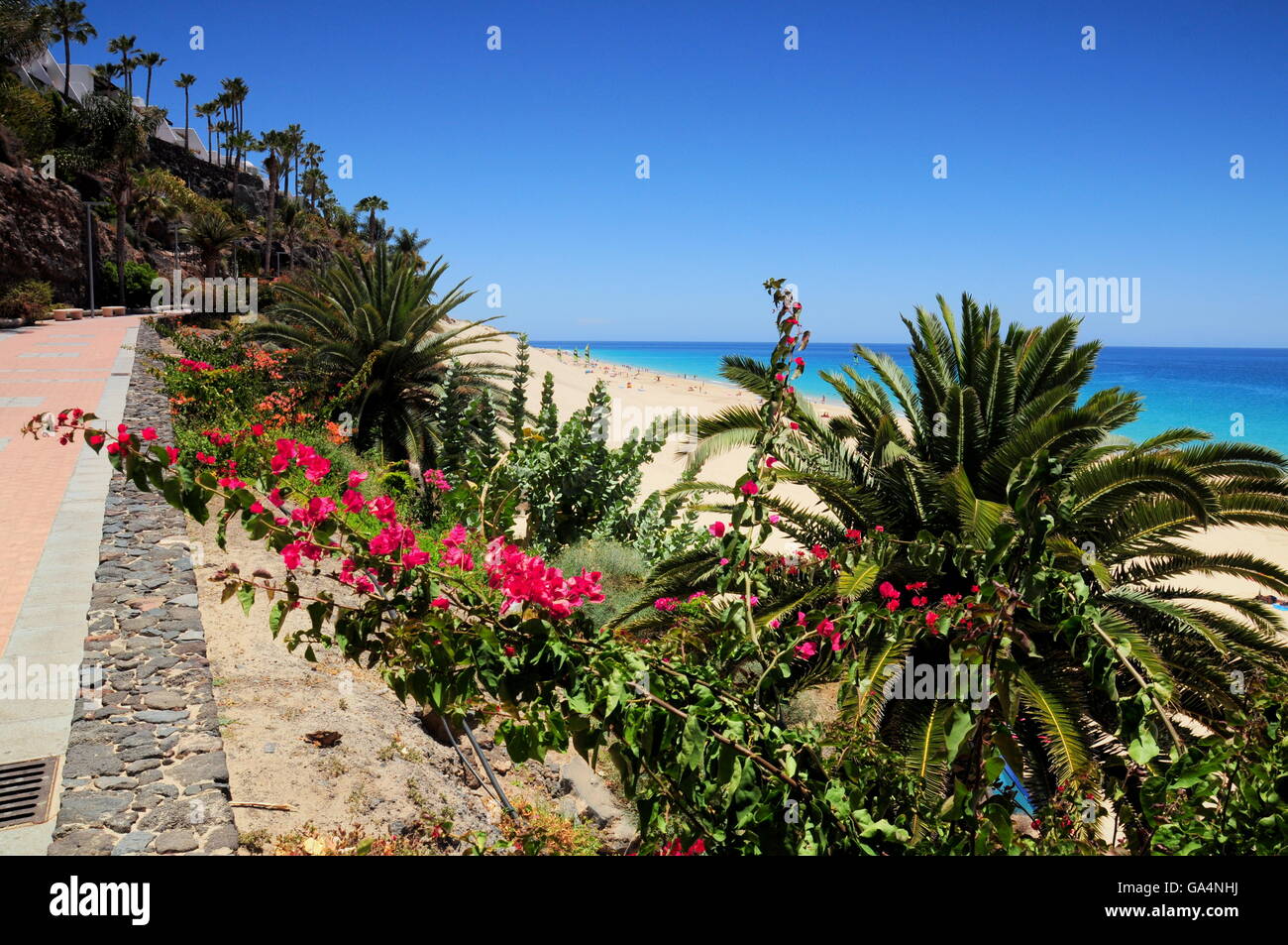 Isole Canarie Fuerteventura, costa, spiaggia, mare, oceano Foto Stock