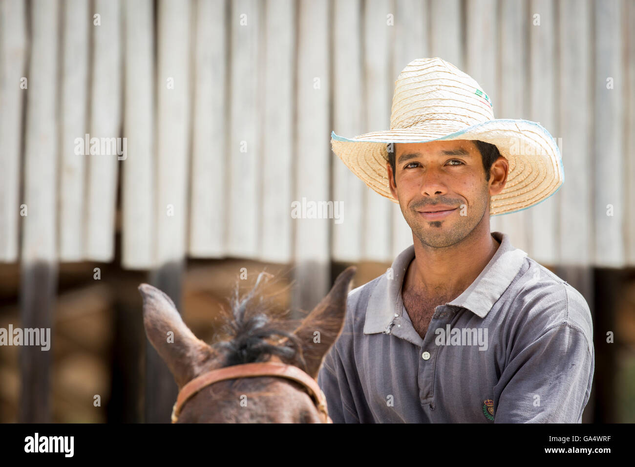 Bel giovane cowboy a cavallo a Hacienda La Belen, un gruppo di lavoro di ranch e popolare area di birdwatching in Cuba Foto Stock