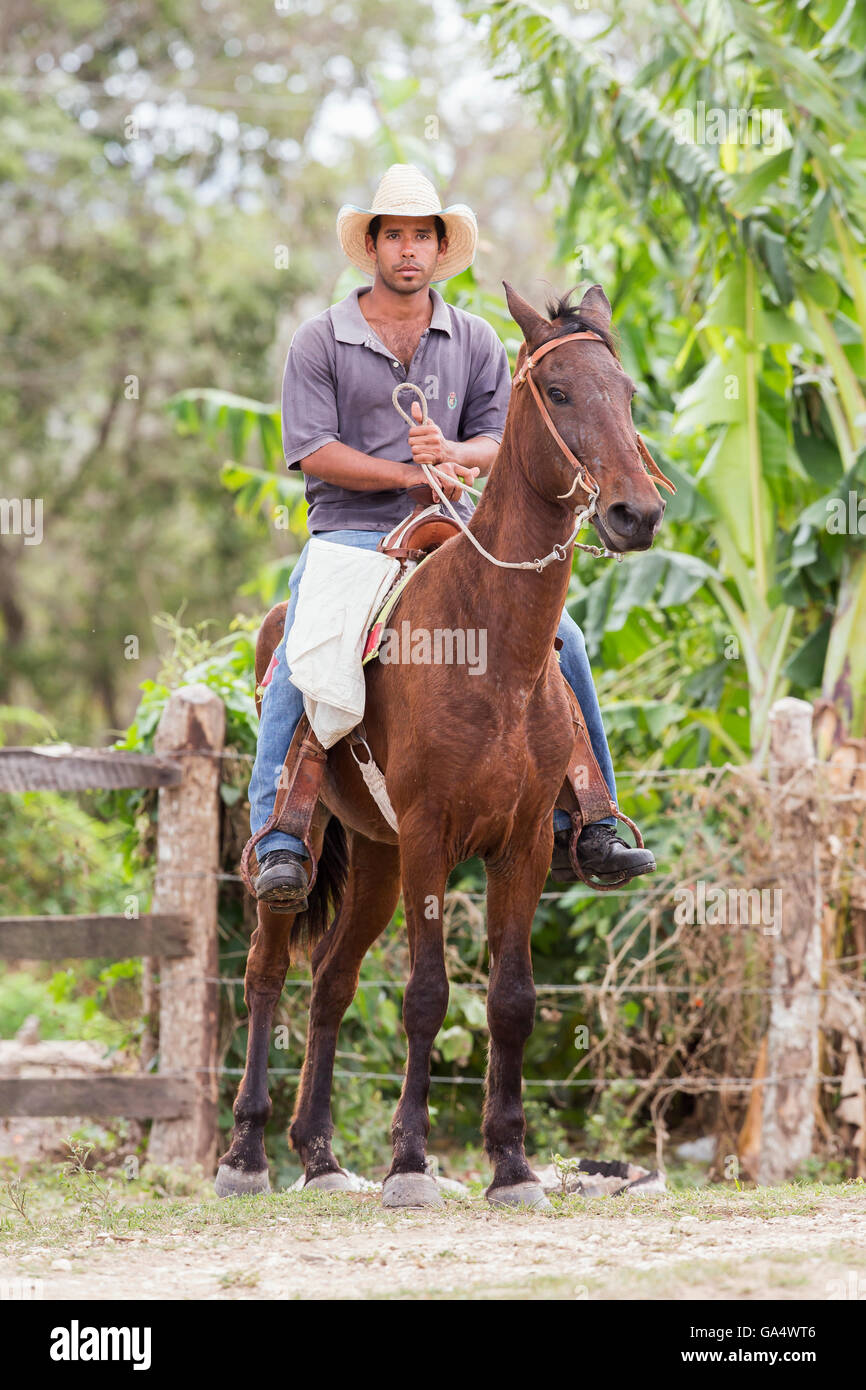 Bel giovane cowboy a cavallo a Hacienda La Belen, Cuba Foto Stock