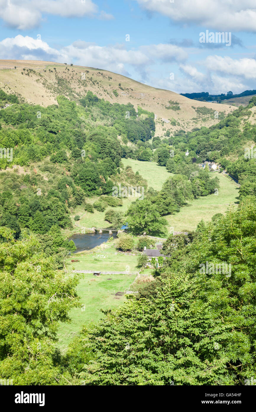 Il fiume Wye e alberi in Upperdale, Derbyshire nel Parco Nazionale di Peak District, England, Regno Unito Foto Stock