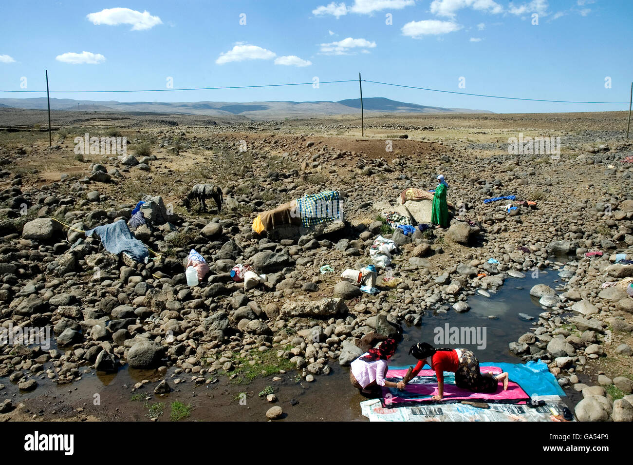 Le donne il lavaggio di tappeti, Kurdistan Foto Stock
