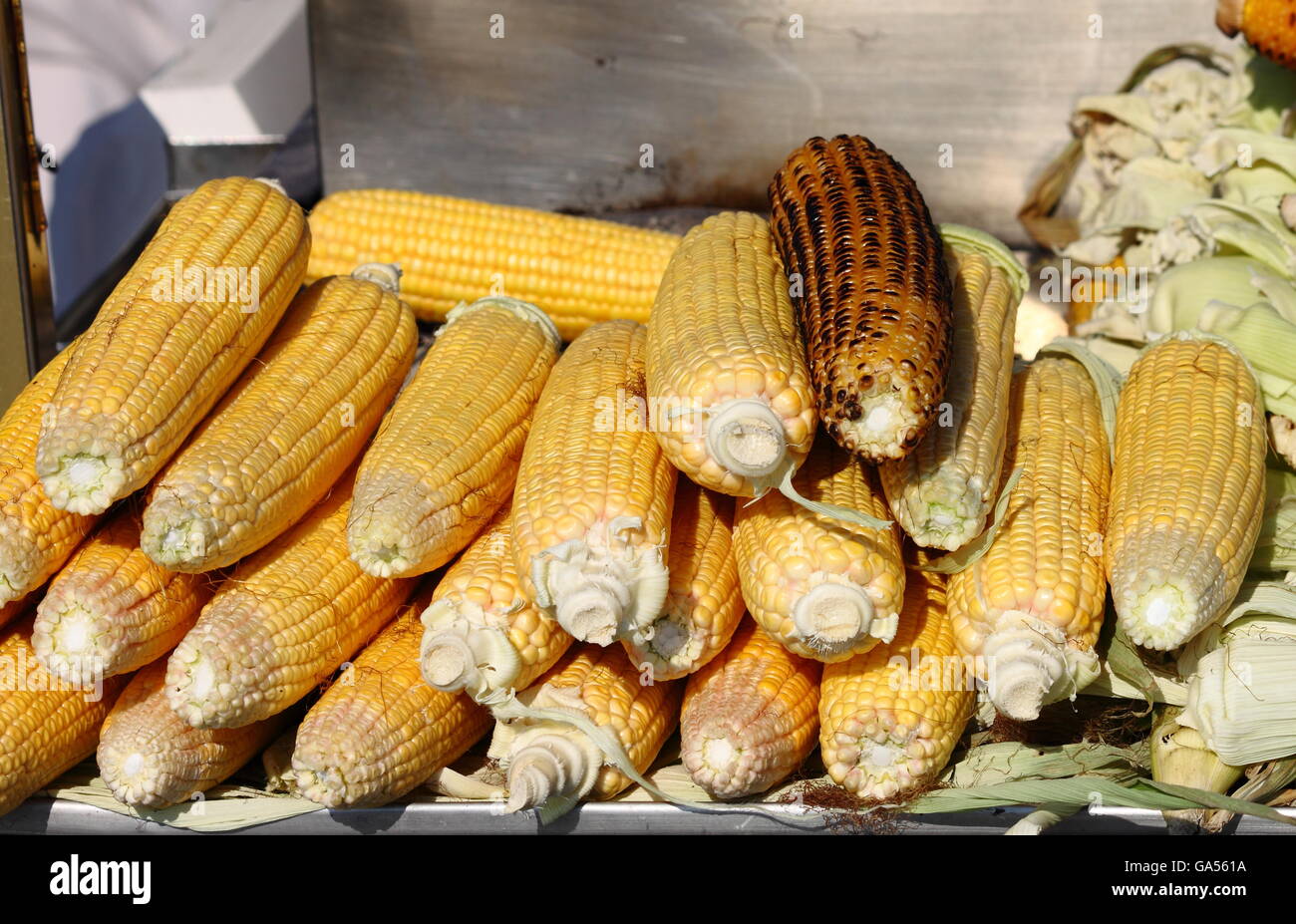 Le pannocchie alla griglia per la vendita in un mercato in stallo Foto Stock