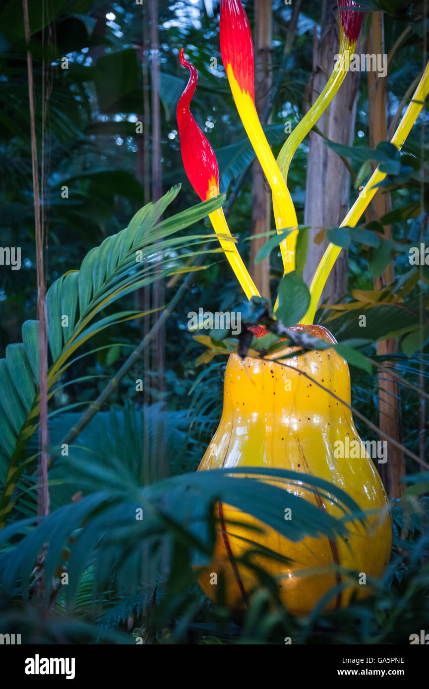Incandescente sculture di vetro dalla serie di Ikebana da Chihuly nella giungla del Conservatorio Fuqua ad Atlanta Giardino Botanico. Foto Stock
