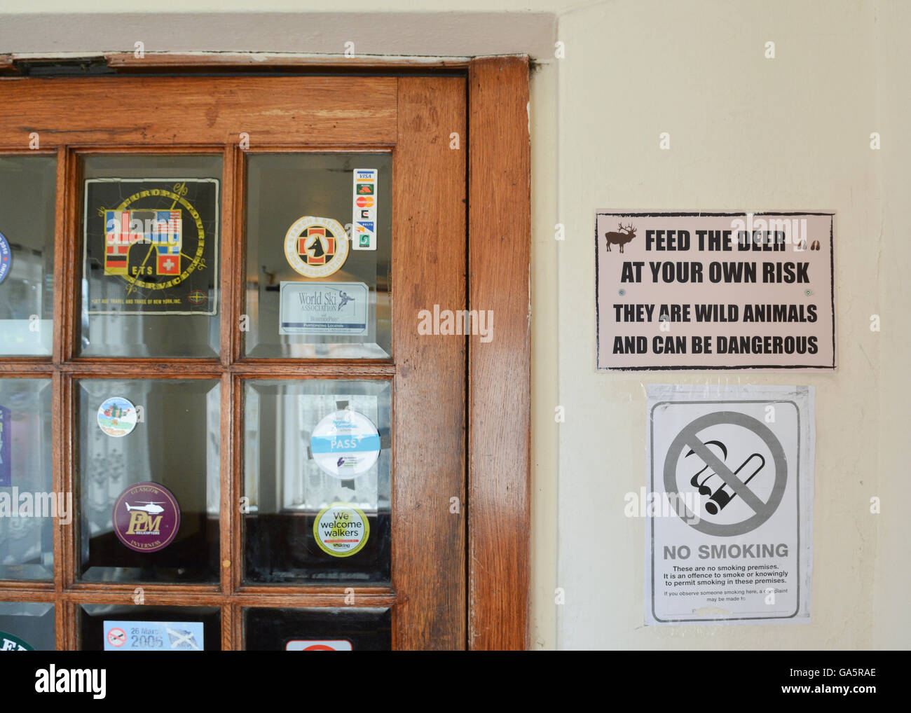 "Alimentare il cervo a proprio rischio di preavviso al di fuori di Kings House hotel di Glen Coe, Highlands scozzesi, Scotland, Regno Unito Foto Stock