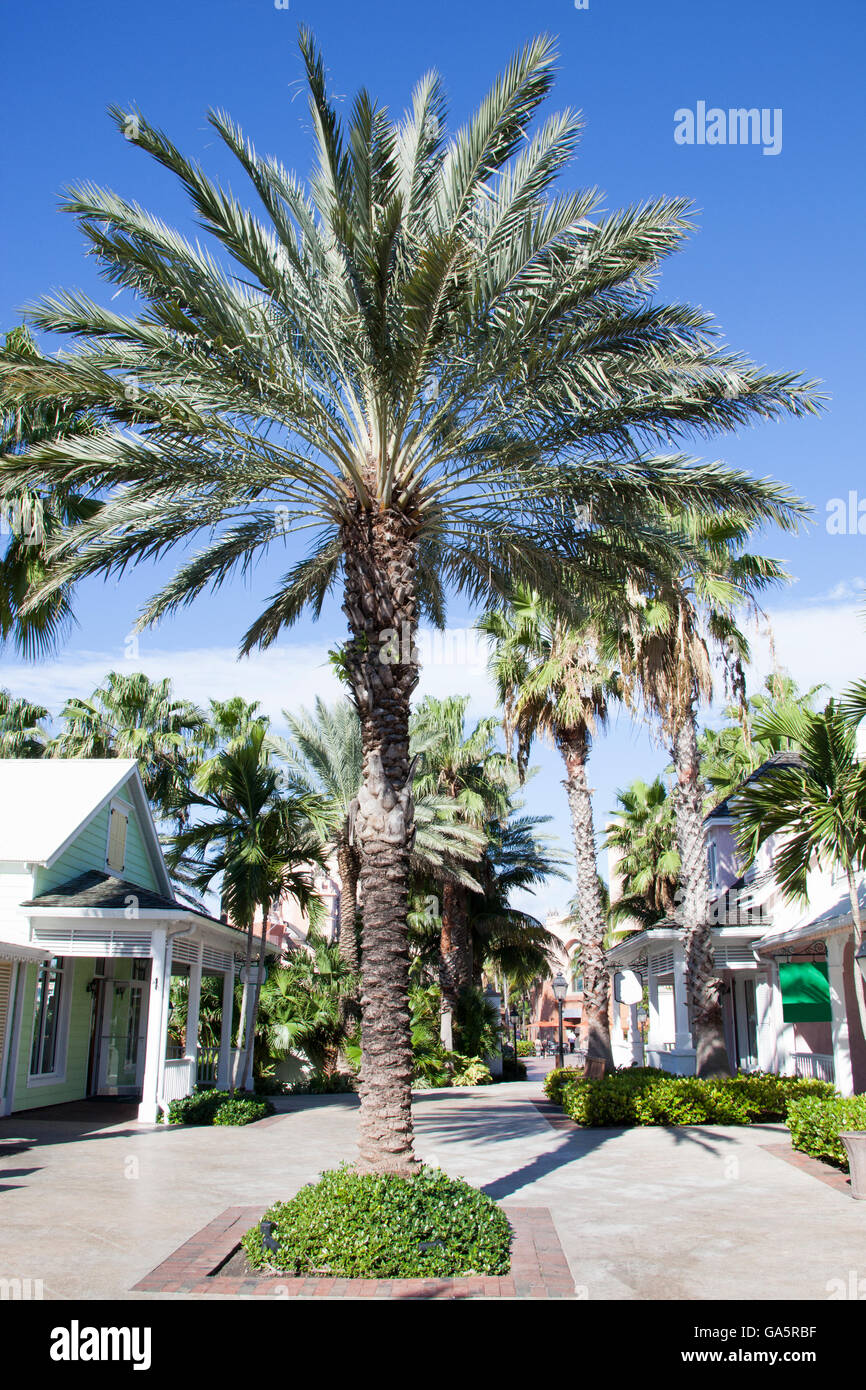 Il villaggio di shopping su Paradise Island (Bahamas). Foto Stock