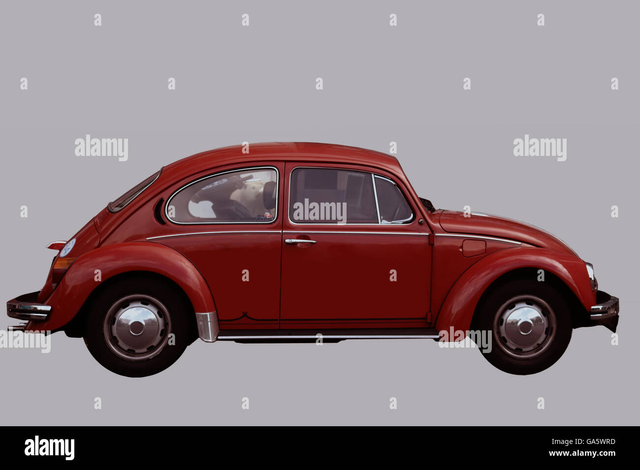 Isolato VW Beetle Foto Stock