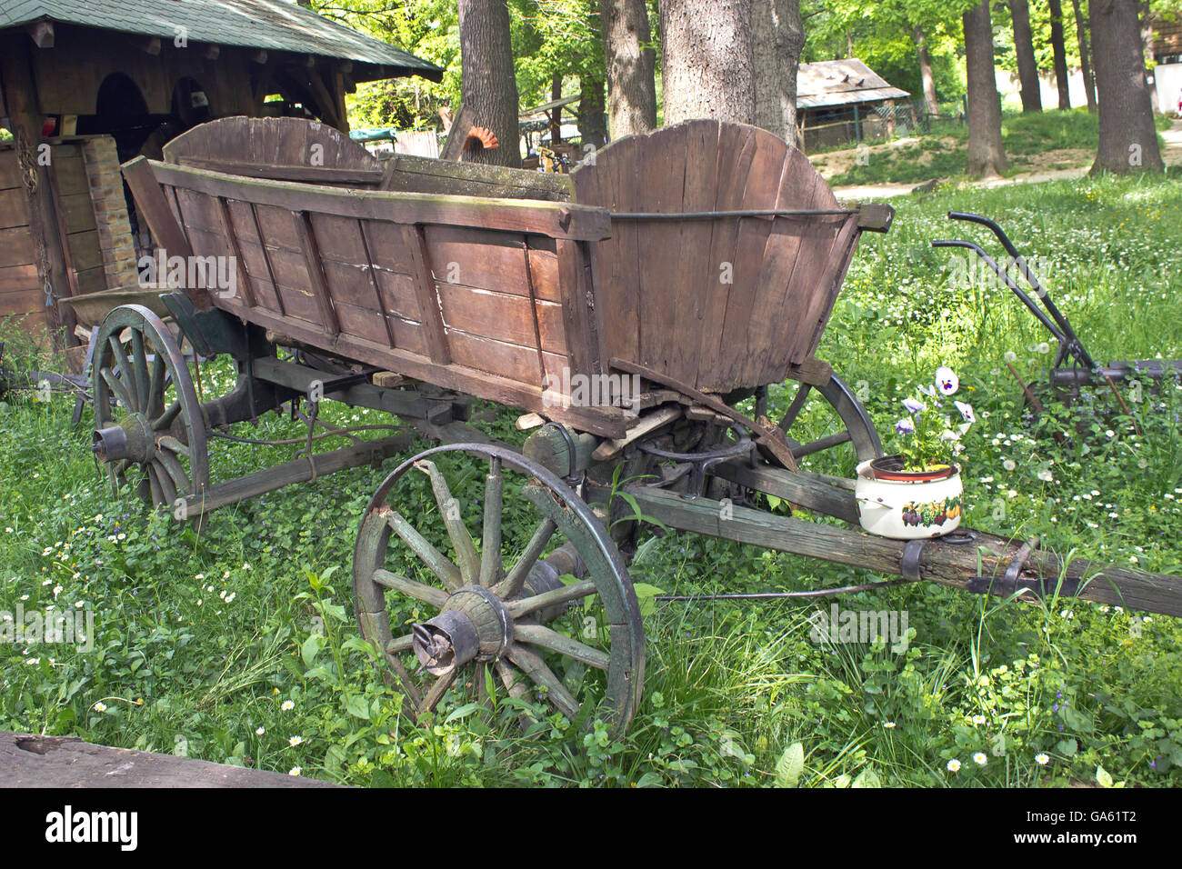 Il vecchio cavallo carro coach sul campo in erba Foto Stock