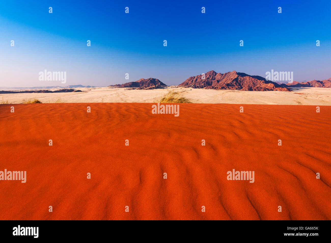 Dettaglio di una duna rossa in Namibia, Africa Foto Stock