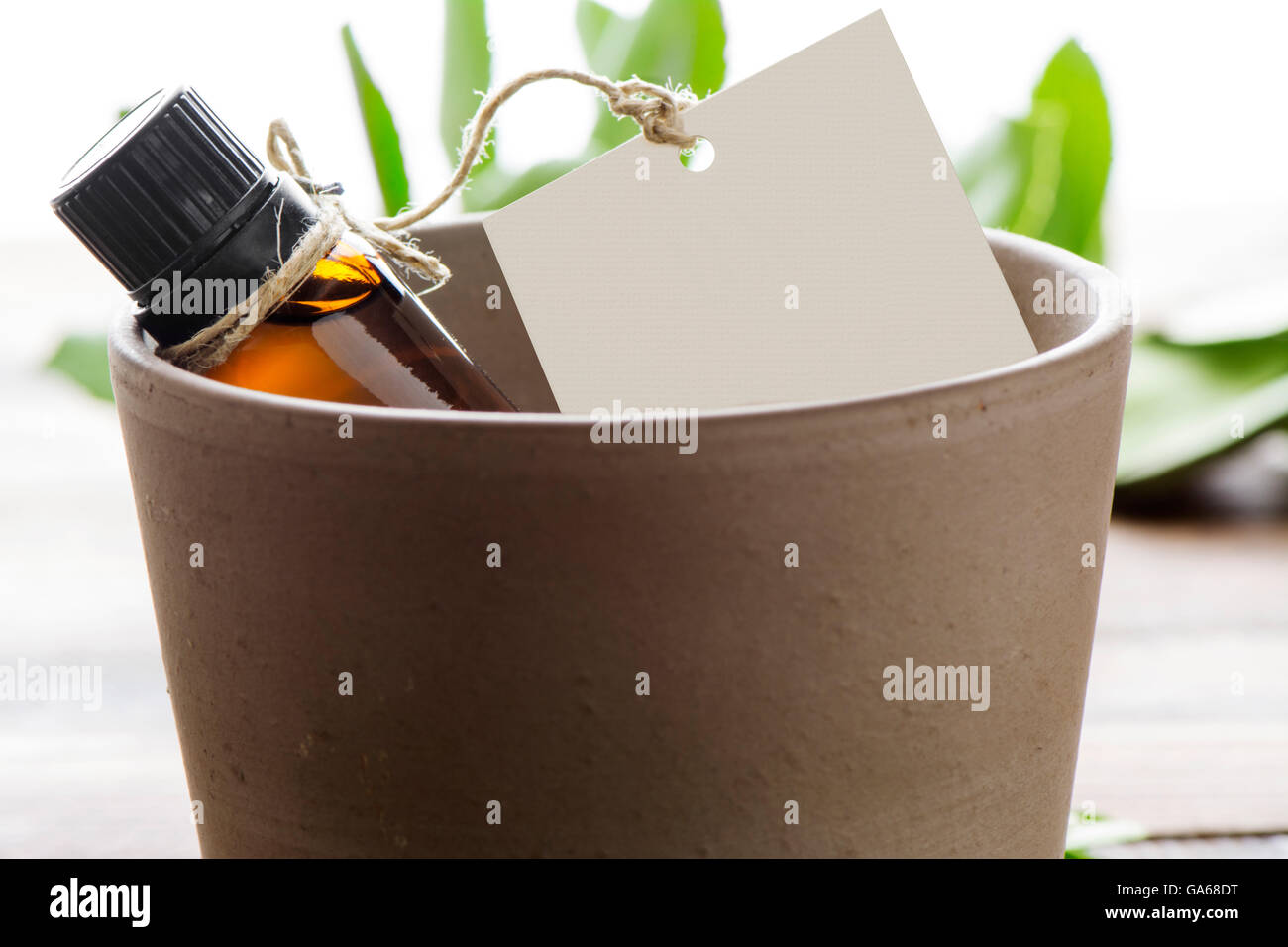 Olio essenziale, i tag vuoti in un vaso di argilla su sfondo isolato Foto Stock