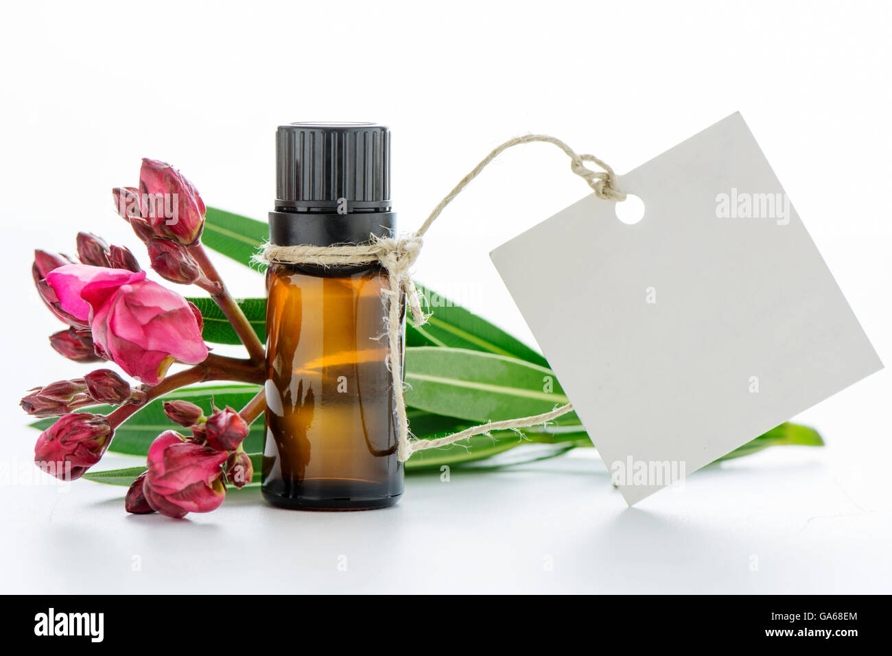 Olio essenziale, i tag vuoti e le rose fiori Foto Stock