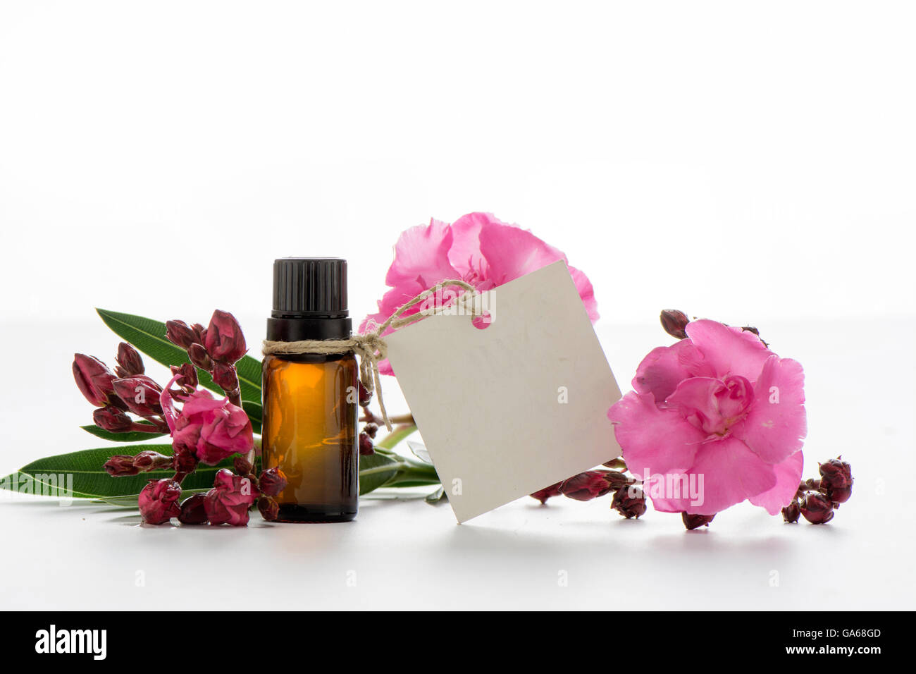 Olio essenziale, i tag vuoti e le rose fiori Foto Stock