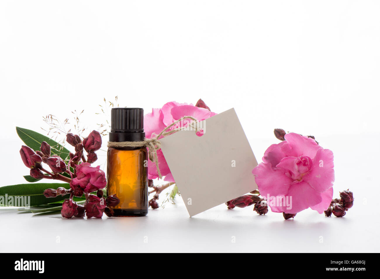 Olio essenziale, i tag vuoti e le rose fiori Foto Stock