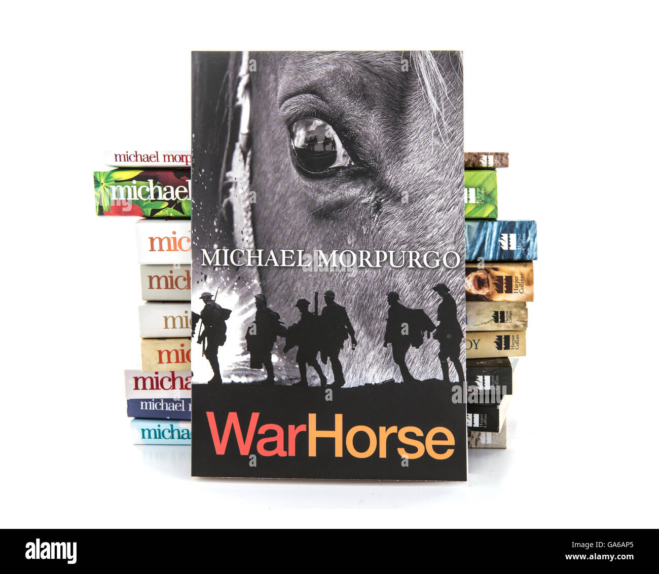 War Horse da Michael Morpurgo su sfondo bianco Foto Stock