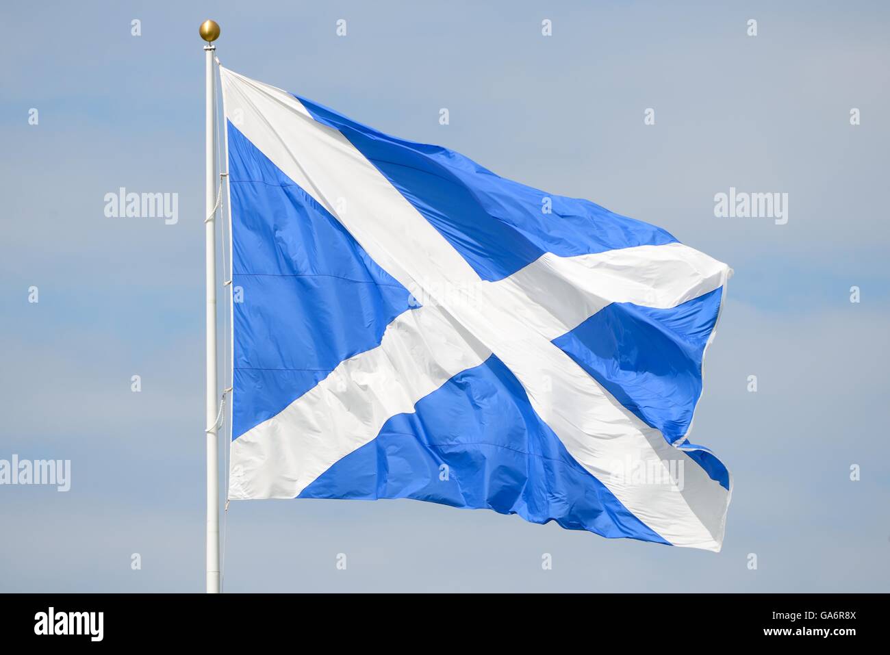 Bandiera scozzese, St Andrew's Cross, che soffia con il vento. Foto Stock