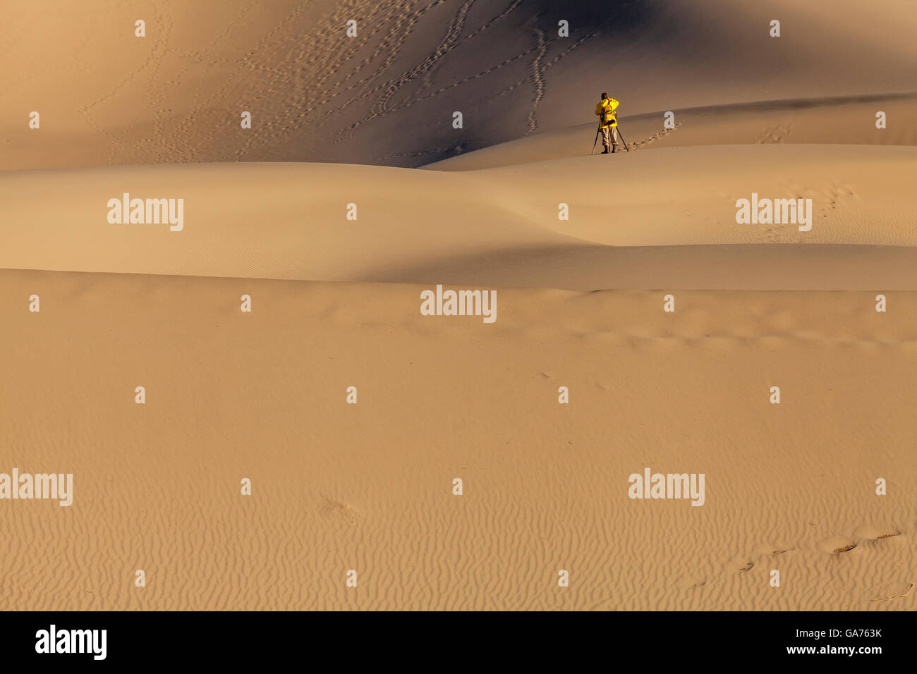 Fotografo di fotografare il Mesquite dune di sabbia nel Parco Nazionale della Valle della Morte, CALIFORNIA, STATI UNITI D'AMERICA Foto Stock