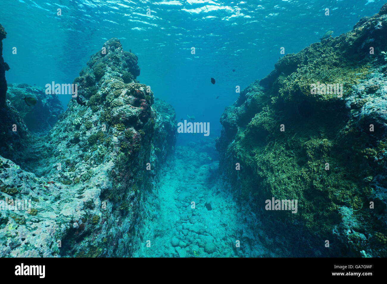 Paesaggio sottomarino sulla barriera corallina esterna scolpito dal rigonfiamento, Huahine isola, oceano pacifico, Polinesia Francese Foto Stock