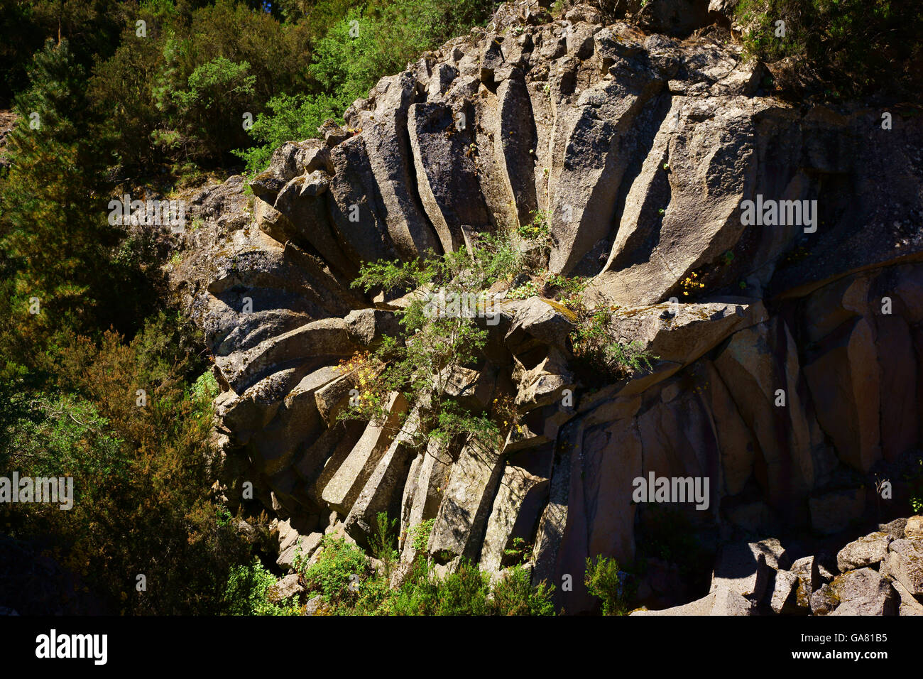 'Rock Rose', basalto pietra lavica di formazione nella forma di una rosa, vulcano Teide, isalnd Teneriffe, Isole canarie, Spagna Foto Stock