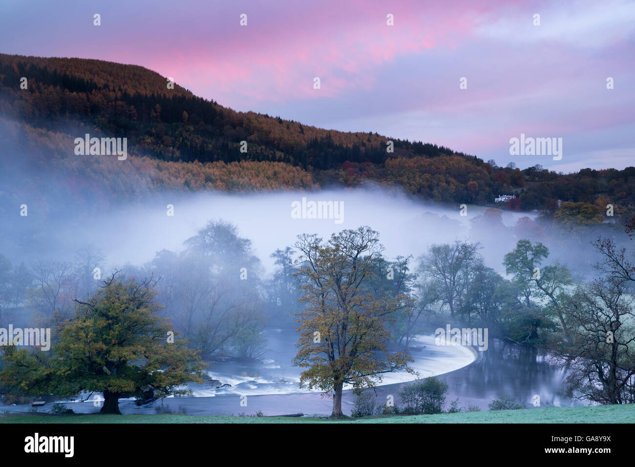 Nebbia autunnale nella Dee Valley (Dyffryn Dyfrdwy) a Horseshoe Falls, vicino a Llangollen, Denbighshire, Wales, Regno Unito, novembre 2013. Foto Stock